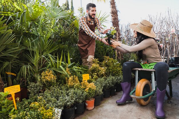 Jak wybrać idealne byliny do twojego ogrodu: przewodnik dla początkujących