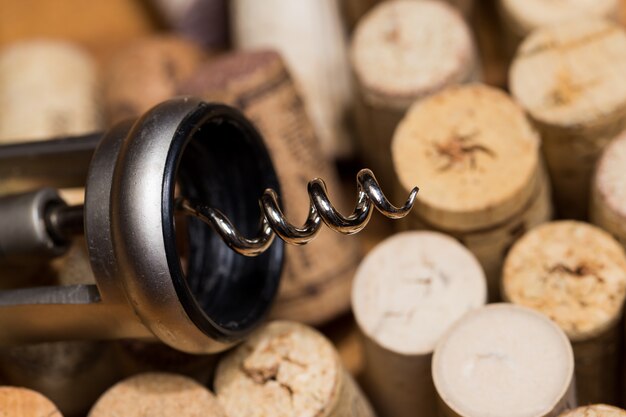 Odkrywając nieznane – tajemnice produkcji tradycyjnych win z serca Europy