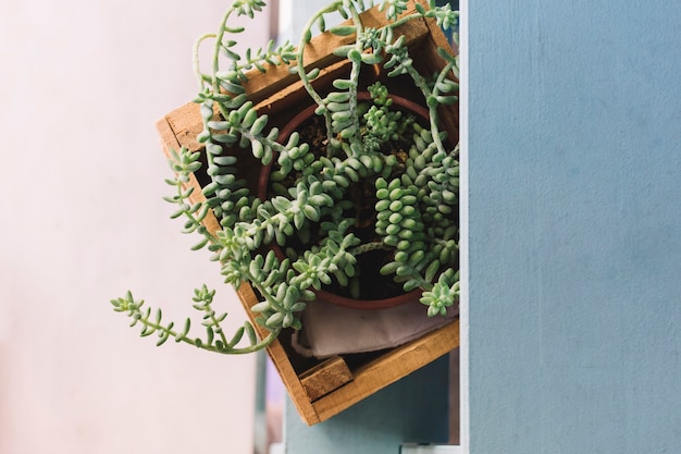 Jak wybrać idealną obudowę na pojemniki do swojego ogrodu?